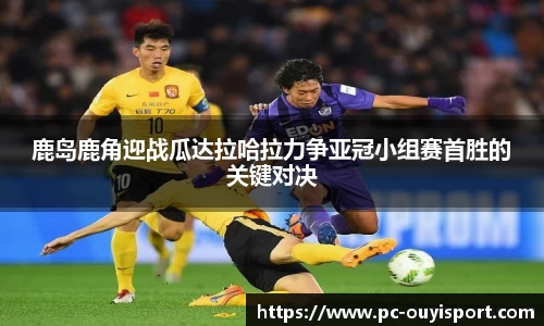 欧亿体育平台